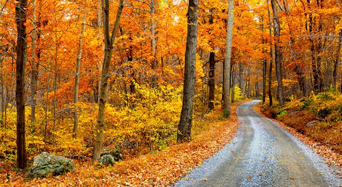 4 Reasons to Buy a Home This Fall! | Keeping Current Matters 4 Reasons to Buy a Home This Fall! | Keeping Current Matters